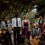 Foto Gato Jazz componentes